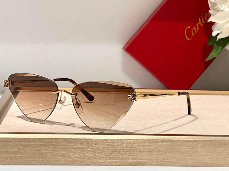 Cartier Sunglasses 117